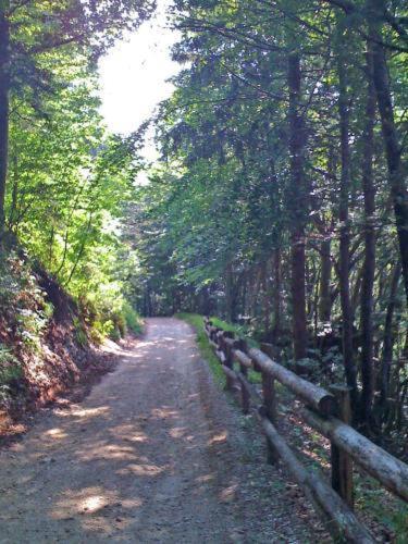 Hotel Fior Di Bosco ジョーヴォ エクステリア 写真